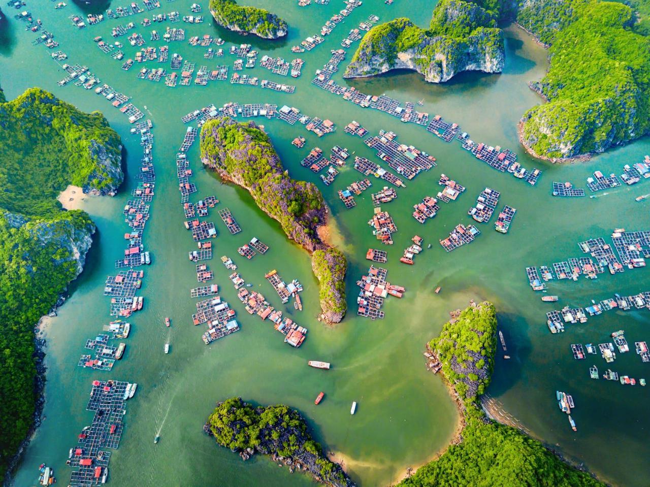 Alibaba'S Hotel Cat Ba Island Ngoại thất bức ảnh